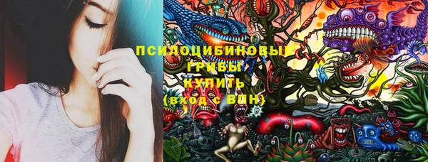 ГАЛЛЮЦИНОГЕННЫЕ ГРИБЫ Михайловск