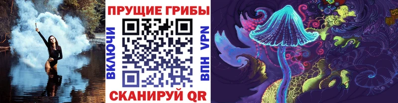 Псилоцибиновые грибы GOLDEN TEACHER  omg зеркало  Перевоз  наркошоп 